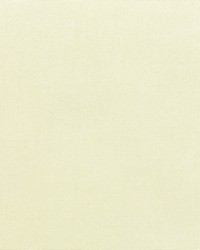 Canvas - Sunbrella Natural 5404-0000 by  RM Coco 