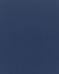 Canvas - Sunbrella Navy 5439-0000 by  RM Coco 