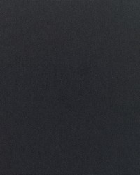 Canvas - Sunbrella Raven Black 5471-0000 by  RM Coco 