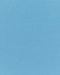 Canvas - Sunbrella Sky Blue 5424-0000 by  RM Coco 