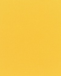 Canvas - Sunbrella Sunflower 5457-0000 by  RM Coco 