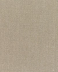 Canvas - Sunbrella Taupe 5461-0000 by  RM Coco 