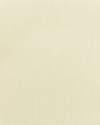 Canvas - Sunbrella Birds Eye 5472-0000 by  RM Coco 