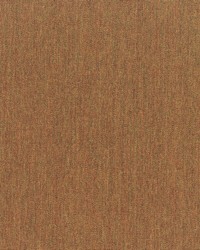 Canvas - Sunbrella Teak 5488-0000 by  RM Coco 