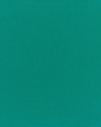 Canvas - Sunbrella Teal 5456-0000 by  RM Coco 