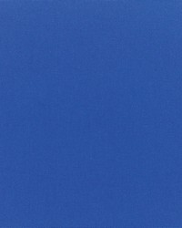 Canvas - Sunbrella True Blue 5499-0000 by  RM Coco 