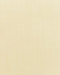 Canvas - Sunbrella Vellum 5498-0000 by  RM Coco 