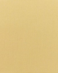 Canvas - Sunbrella Wheat 5414-0000 by  RM Coco 