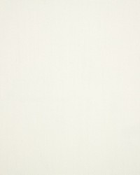 Canvas - Sunbrella White 57003-0000 by  RM Coco 