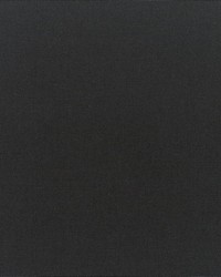 Canvas - Sunbrella Black 5408-0000 by  RM Coco 