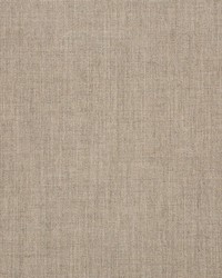 Cast - Sunbrella Ash 40428-0000 by  RM Coco 