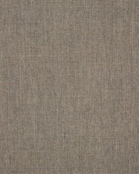 Cast - Sunbrella Shale 40432-0000 by  RM Coco 