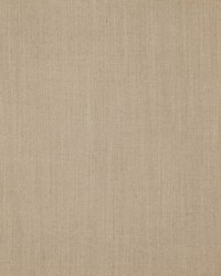 Cast - Sunbrella Silver 40433-0000 by  RM Coco 