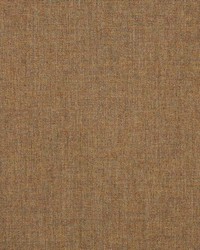 Cast - Sunbrella Teak 48093-0000 by  RM Coco 