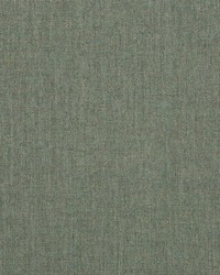 Cast - Sunbrella Sage 48092-0000 by  RM Coco 