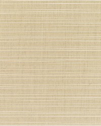 Dupione - Sunbrella Sand 8011-0000 by  RM Coco 