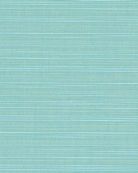 Dupione - Sunbrella Celeste 8067-0000 by  RM Coco 