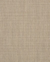 Echo - Sunbrella Dune 57007-0000 by  RM Coco 