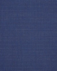 Echo - Sunbrella Midnight 8076-0000 by  RM Coco 