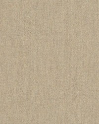 Heritage - Sunbrella Ashe 18001-0000 by  RM Coco 