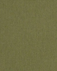 Heritage - Sunbrella Leaf 18011-0000 by  RM Coco 