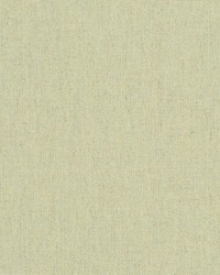 Heritage - Sunbrella Moss 18012-0000 by  RM Coco 