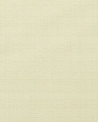 Linen - Sunbrella Canvas 8353-0000 by  RM Coco 