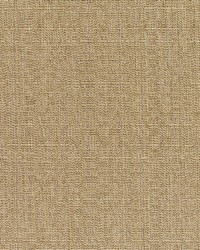 Linen - Sunbrella Sesame 8318-0000 by  RM Coco 
