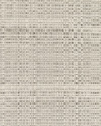 Linen - Sunbrella Silver 8351-0000 by  RM Coco 
