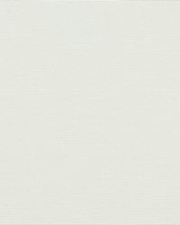 Sailcloth - Sunbrella Salt 32000-0018 by  RM Coco 