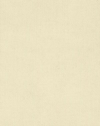 Shadow - Sunbrella Snow 51000-0000 by  RM Coco 