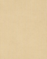 Shadow - Sunbrella Sand 51000-0001 by  RM Coco 