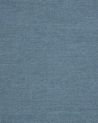 Spectrum - Sunbrella Denim 48086-0000 by  RM Coco 