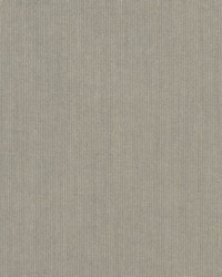 Spectrum - Sunbrella Dove 48032-0000 by  RM Coco 