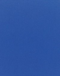 Spectrum - Sunbrella Graphite 48030-0000 by  RM Coco 