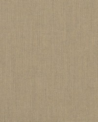 Spectrum - Sunbrella Mushroom 48031-0000 by  RM Coco 