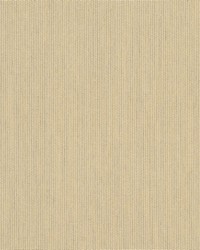 Spectrum - Sunbrella Sand 48019-0000 by  RM Coco 
