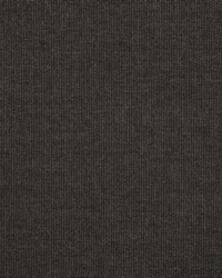 Spectrum - Sunbrella Carbon 48085-0000 by  RM Coco 