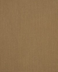 Spectrum - Sunbrella Caribou 48083-0000 by  RM Coco 