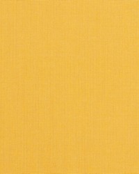 Spectrum - Sunbrella Daffodil 48024-0000 by  RM Coco 