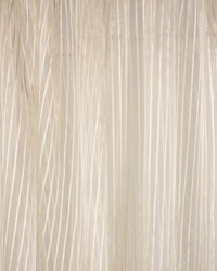 Zavala Sugar Coated by   