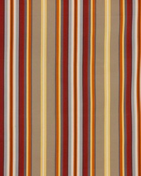 Finnimore Stripe Spice by  RM Coco 