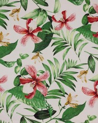 Ala Moana Coral Reef by  RM Coco 