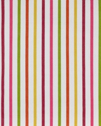 Picarelli Stripe Fruit Punch by   