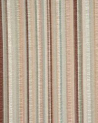 1373cb Brown Eyes by   