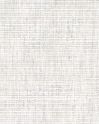 Elusive Cotton Tussah Travertine by  RM Coco 