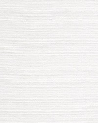 Elusive Cotton Tussah Talc by  RM Coco 