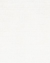 Elusive Cotton Tussah Candlelight by  RM Coco 