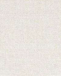 Bamboo Glam Candle Glow by   