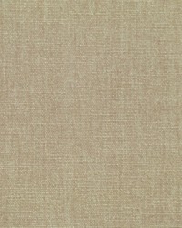 Command Performance Chenille Latte by  RM Coco 